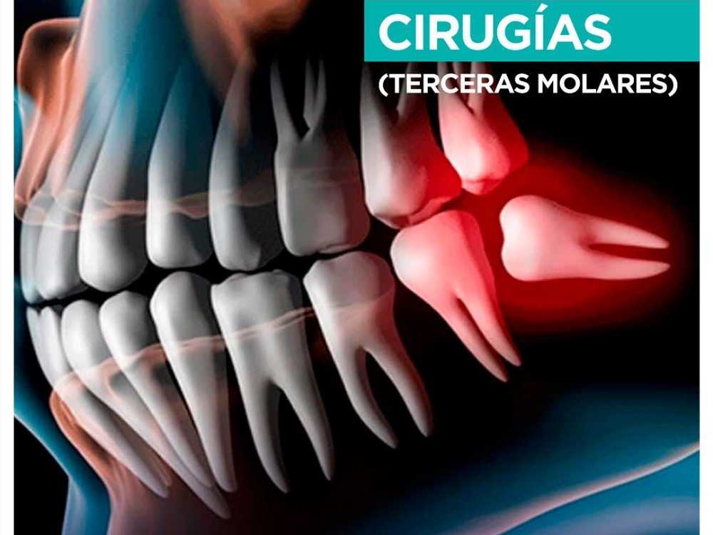 Dentista Doc Rosaura Flores