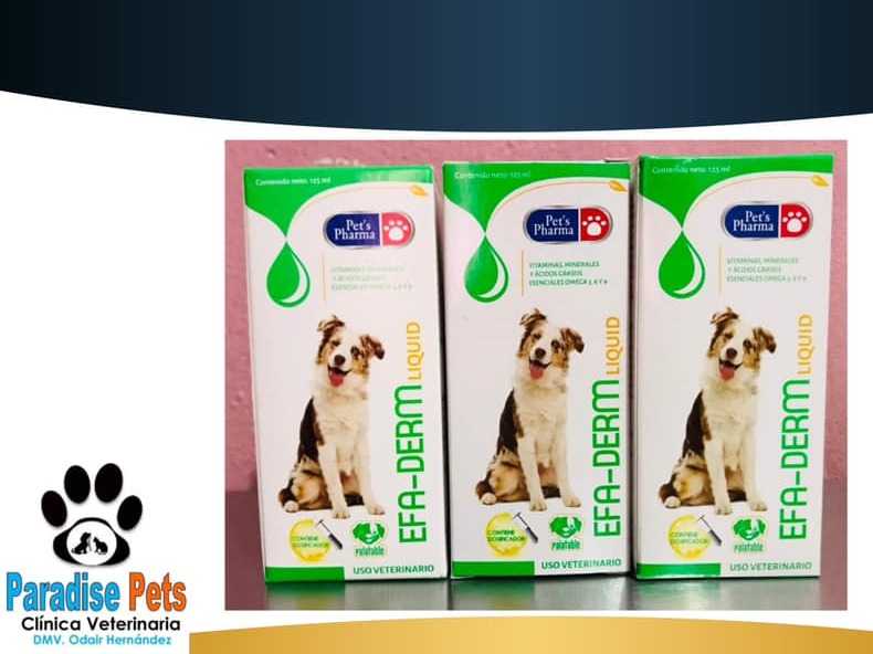 CLINICA VETERINARIA PARADISE PETS