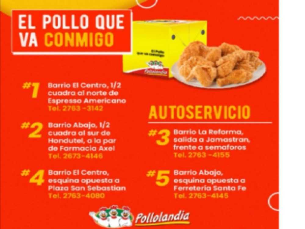 POLLOLANDIA DANLI