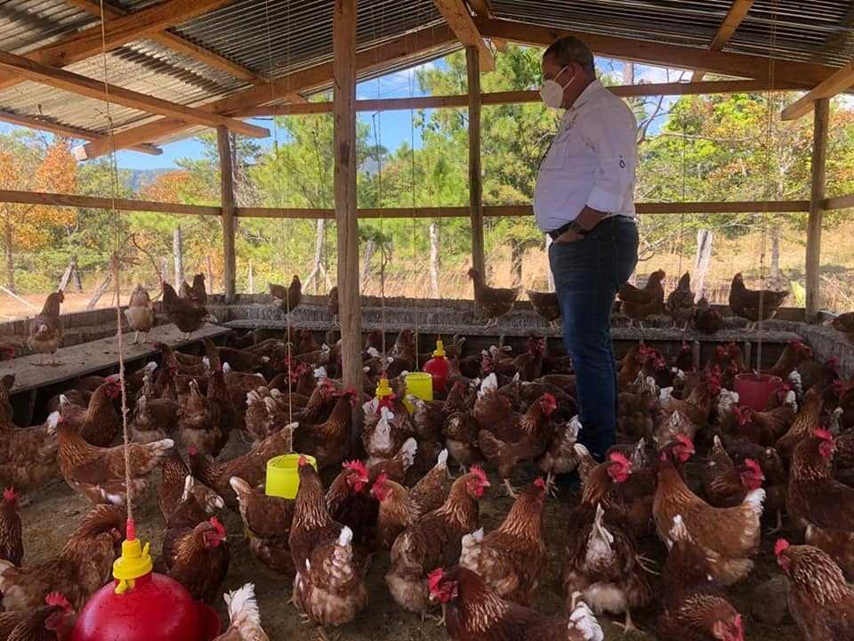 S.A.G. SECRETARIA DE AGRICULTURA Y GANADERÍA