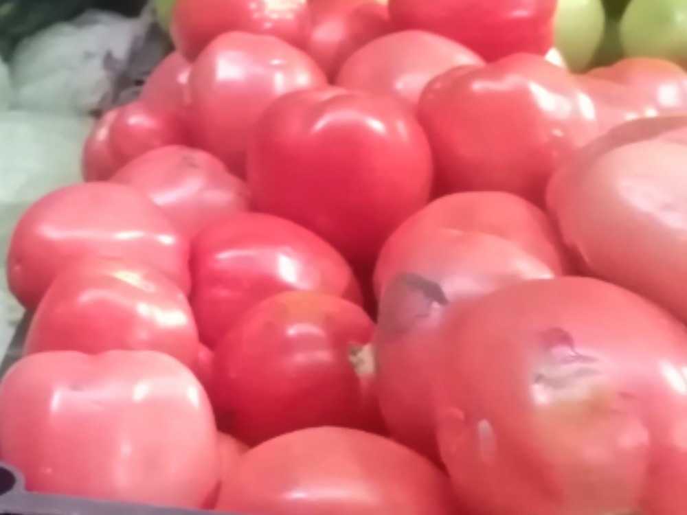 Tomate manzano fresco