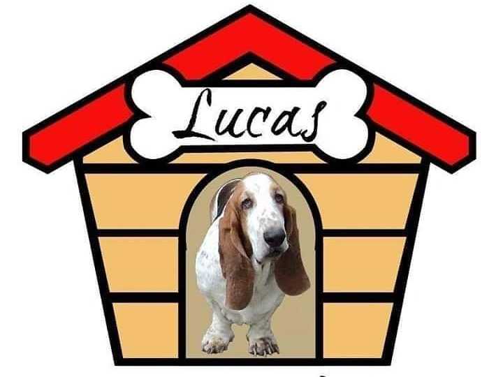Lucas Pet Shop HN