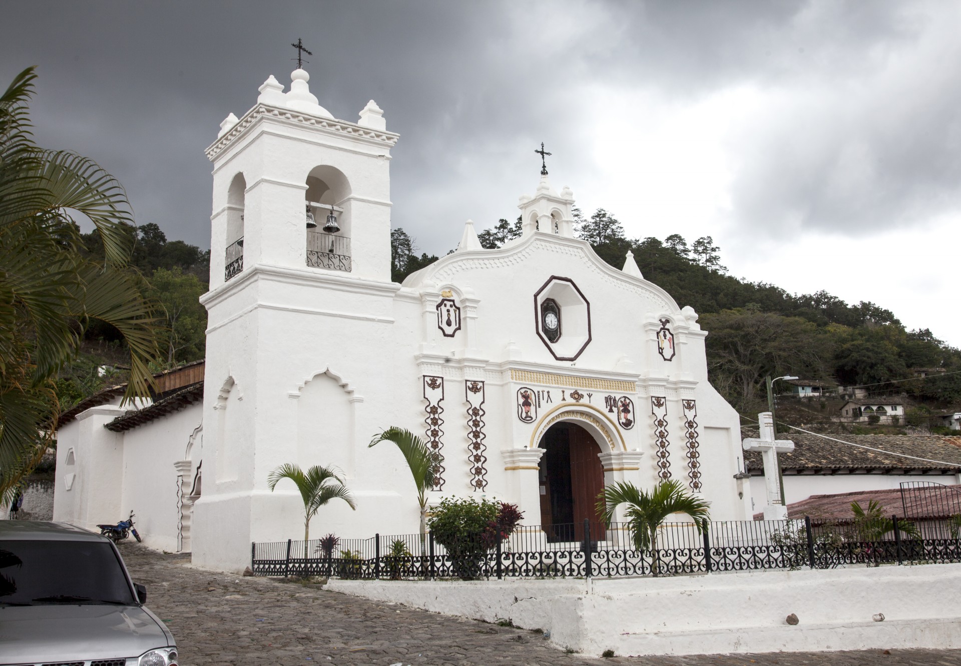 Cedros Francisco Morazán