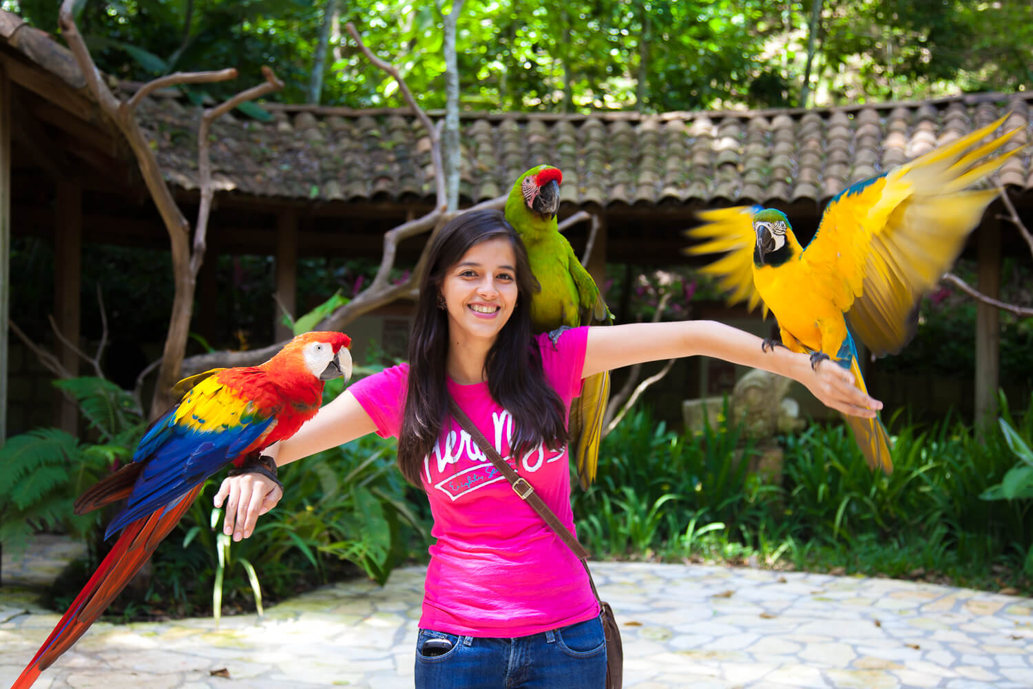 Parque de Aves