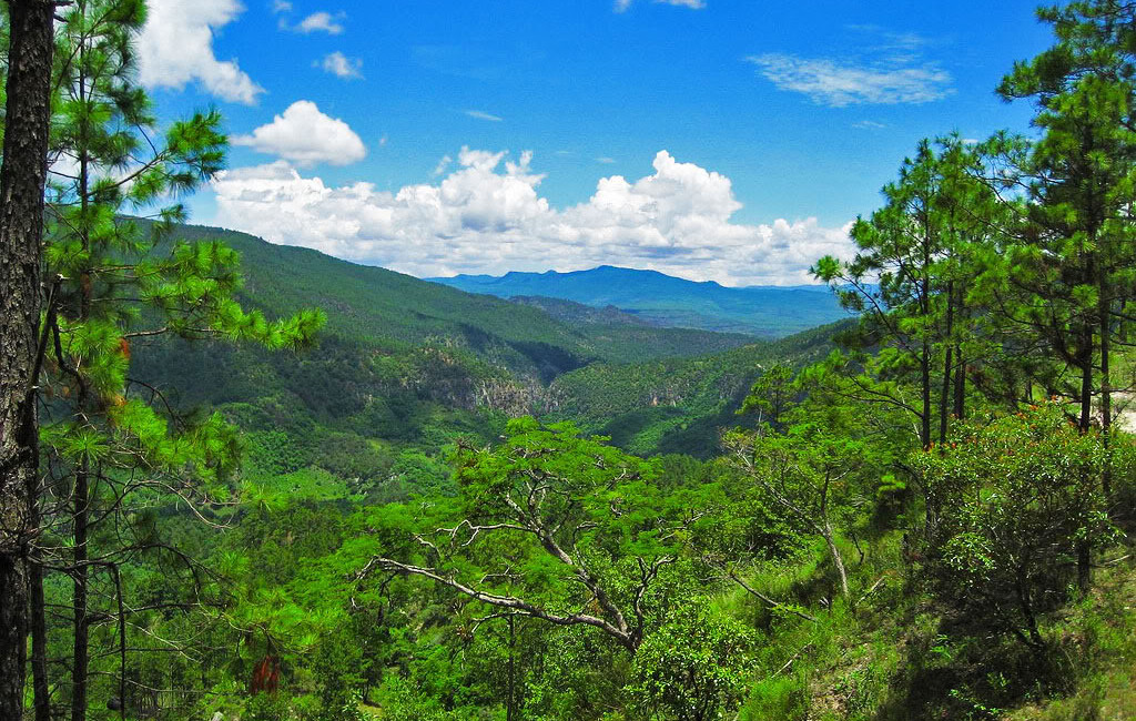 Sierra de Agalta de Catacamas Olancho