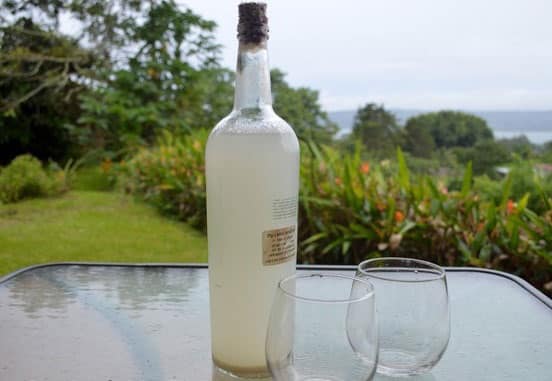 Vino de coyol