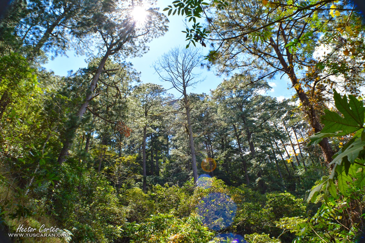 Reserva Biológica Monserrat