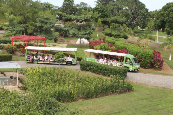 Campo mar de Tujillo