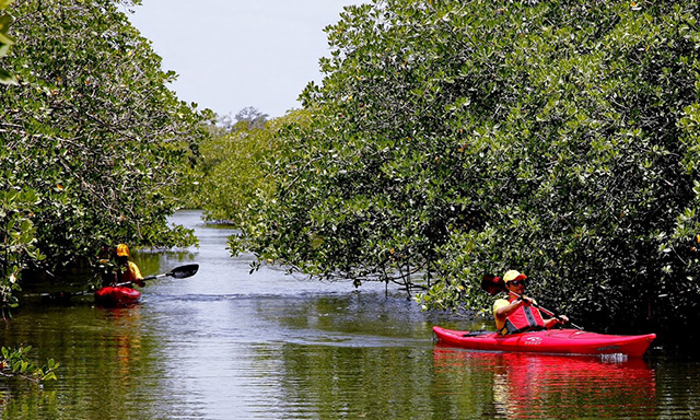 Kayaks de Trujillo