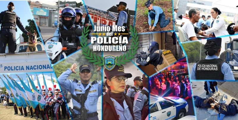 Imagen insertada