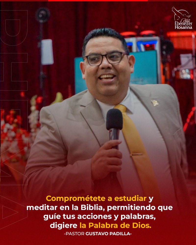 Imagen insertada
